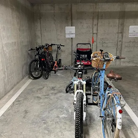 Pink Peony דרוסקינינקאי