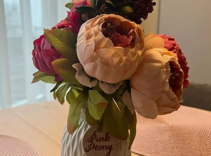 Pink Peony דירה דרוסקינינקאי