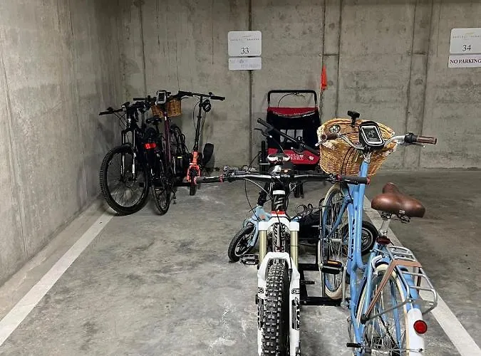 Pink Peony Druskininkai